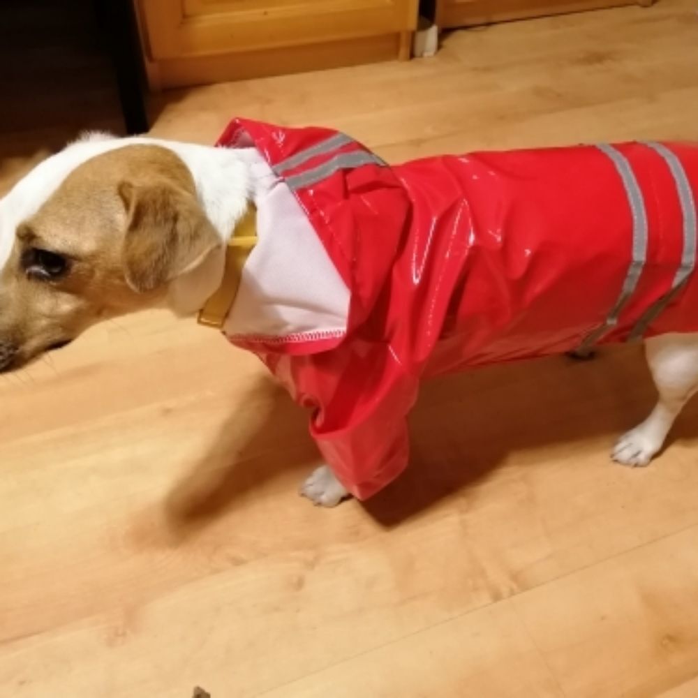 Reflector Red Pup raincoat sz Med